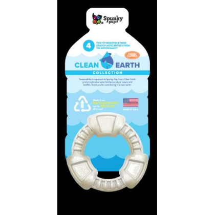 Clean Earth Recycled Ring