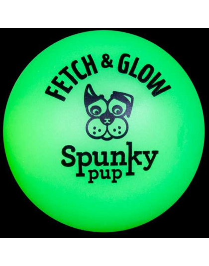 Fetch & Glow Ball - Large