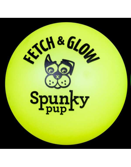 Fetch & Glow Ball - Medium