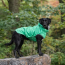 Green - GF Pet Reversible ElastoFit Raincoat  - 4XL