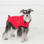 Red - GF Pet Reversible ElastoFit Chalet Jacket - XS