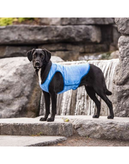 Blue - GF Pet ElastoFit Ice Vest - 2XL