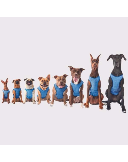 Blue - GF Pet ElastoFit Ice Vest - XL