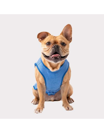 Blue - GF Pet ElastoFit Ice Vest - XS