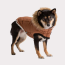 Caramel - GF Pet ElastoFit Urban Dog Parka  - XS