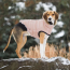 Pink - GF Pet ElastoFit Urban Dog Parka  - 2XL