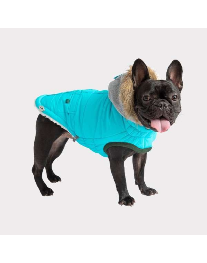 Aqua - GF Pet  Winter Sailor Parka  - 2XS