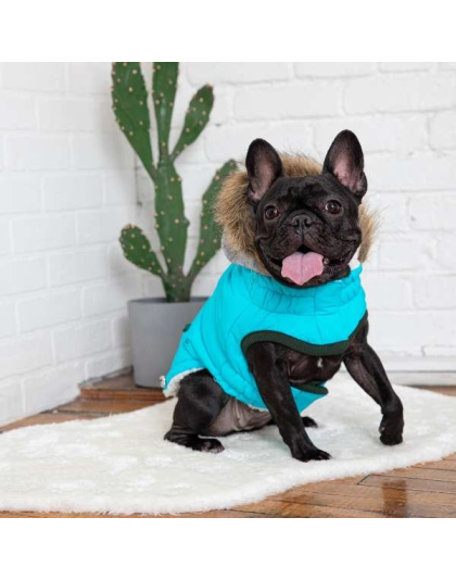 Aqua - GF Pet  Winter Sailor Parka  - 2XS