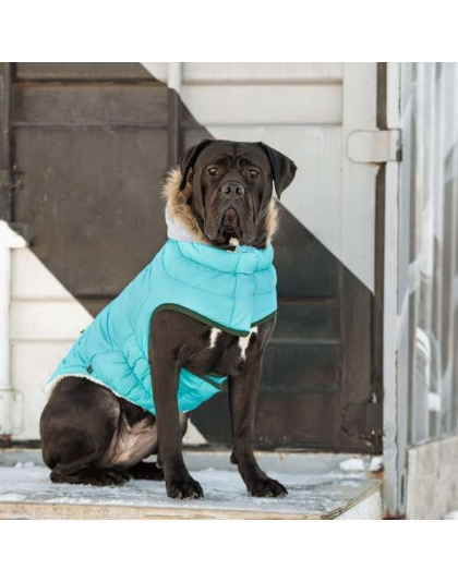 Aqua - GF Pet  Winter Sailor Parka  - Small