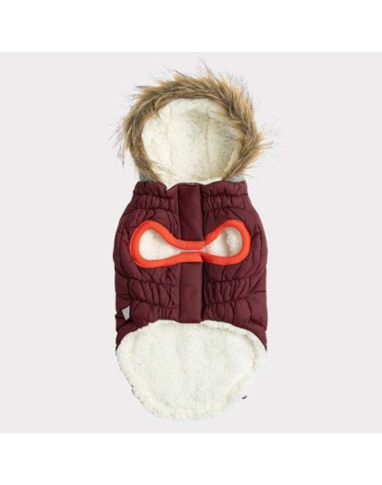 Burgundy - GF Pet  Winter Sailor Parka  - 2XL