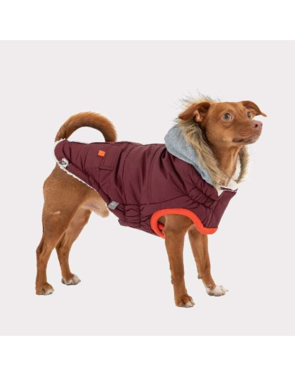 Burgundy - GF Pet  Winter Sailor Parka  - 2XS