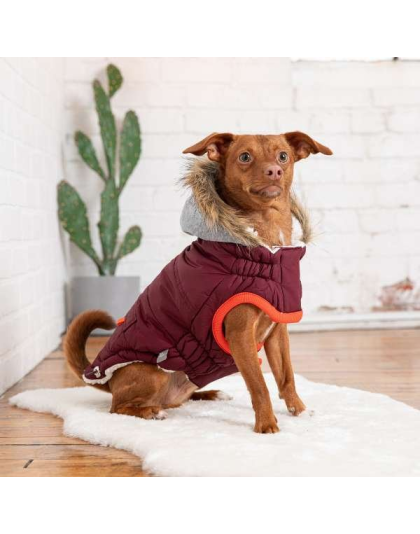 Burgundy - GF Pet  Winter Sailor Parka  - 2XS