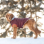 Burgundy - GF Pet  Winter Sailor Parka  - Large