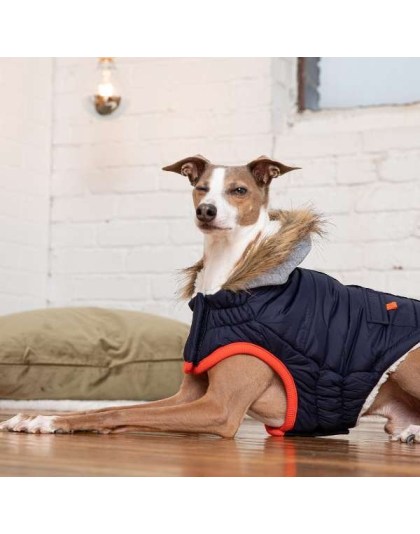 Navy - GF Pet  Winter Sailor Parka  - 2XL