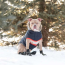 Navy - GF Pet  Winter Sailor Parka  - 2XL