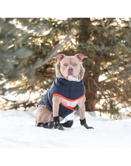 Navy - GF Pet  Winter Sailor Parka  - Medium