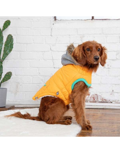 Yellow - GF Pet  Winter Sailor Parka  - 2XL