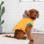 Yellow - GF Pet  Winter Sailor Parka  - 2XL