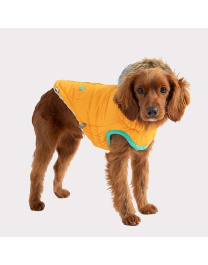 Yellow - GF Pet  Winter Sailor Parka  - 3XL