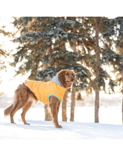 Yellow - GF Pet  Winter Sailor Parka  - XL