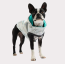 Neon Aqua - GF Pet Reversible Raincoat  - Small