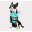 Neon Aqua - GF Pet Reversible Raincoat  - XS