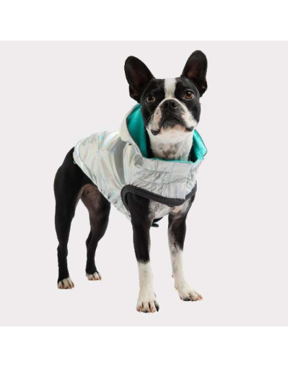 Neon Aqua - GF Pet Reversible Raincoat  - XS