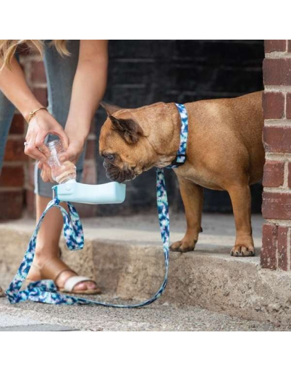 Blue - GF Pet  Water Bottle