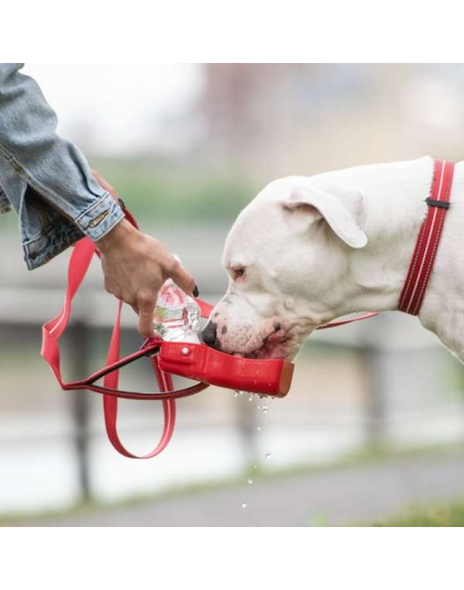 Red - GF Pet  Water Bottle