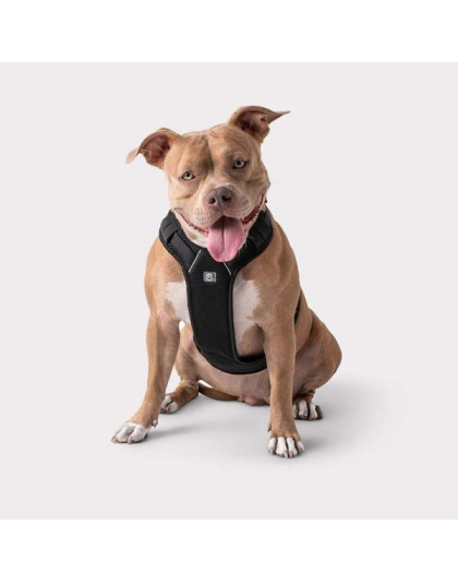 Black - GF Pet  Travel Harness - Medium