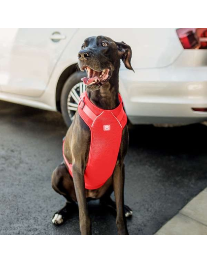 Red - GF Pet  Travel Harness - 2XS