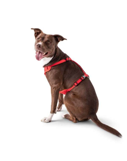 Red - GF Pet  Travel Harness - 2XS