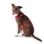 Red - GF Pet  Travel Harness - Medium