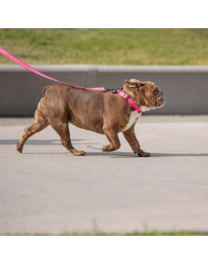 Neon Pink - GF Pet  Reflective Collar - Small