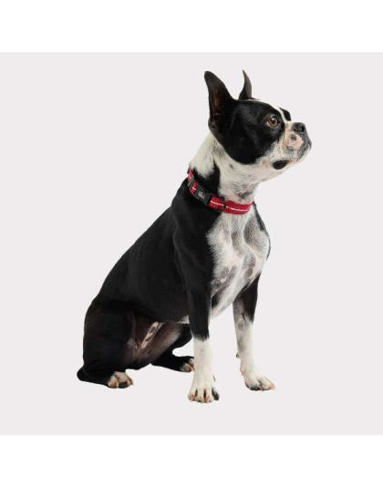 Red - GF Pet  Reflective Collar - Medium