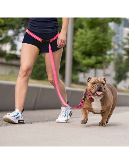 Neon Pink - GF Pet Reflective Leash - EEZY-6 - Medium/Large