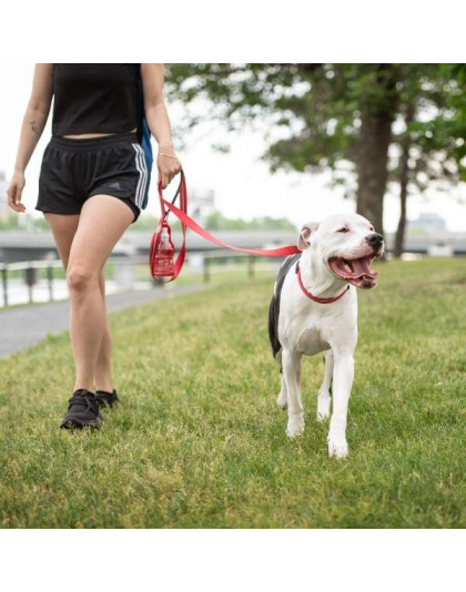 Red - GF Pet  Reflective Collar - Small