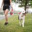 Red - GF Pet  Reflective Collar - XS