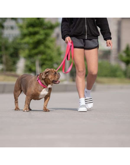 Neon Pink - GF Pet  Reflective Leash - Medium/Large