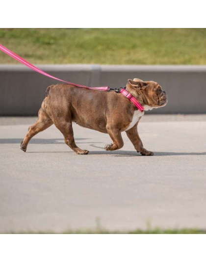 Neon Pink - GF Pet  Reflective Leash - Medium/Large