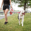 Red - GF Pet  Reflective Leash - Medium/Large