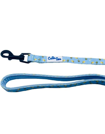 Taco Tuesday - Cutie Ties Fun Design Dog Leash - Small