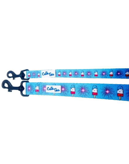 4th of July - Cutie Ties Fun Design Dog Leash - Large