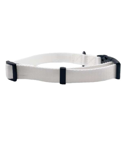 White - Cutie Ties Fun Design Dog Collar - Medium