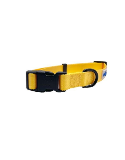 Yellow - Cutie Ties Fun Design Dog Collar - Medium