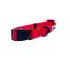 Red - Cutie Ties Fun Design Dog Collar - Large