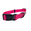 Pink - Cutie Ties Fun Design Dog Collar - Medium