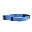 Blue - Cutie Ties Fun Design Dog Collar - Large