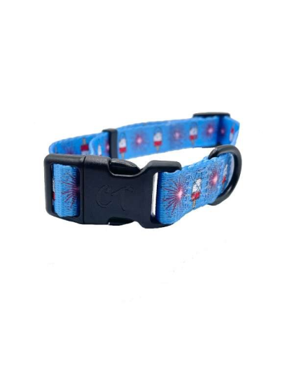 4th of July - Cutie Ties Fun Design Dog Collar - Medium