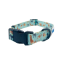 Zoo Furiends - Cutie Ties Fun Design Dog Collar - Medium